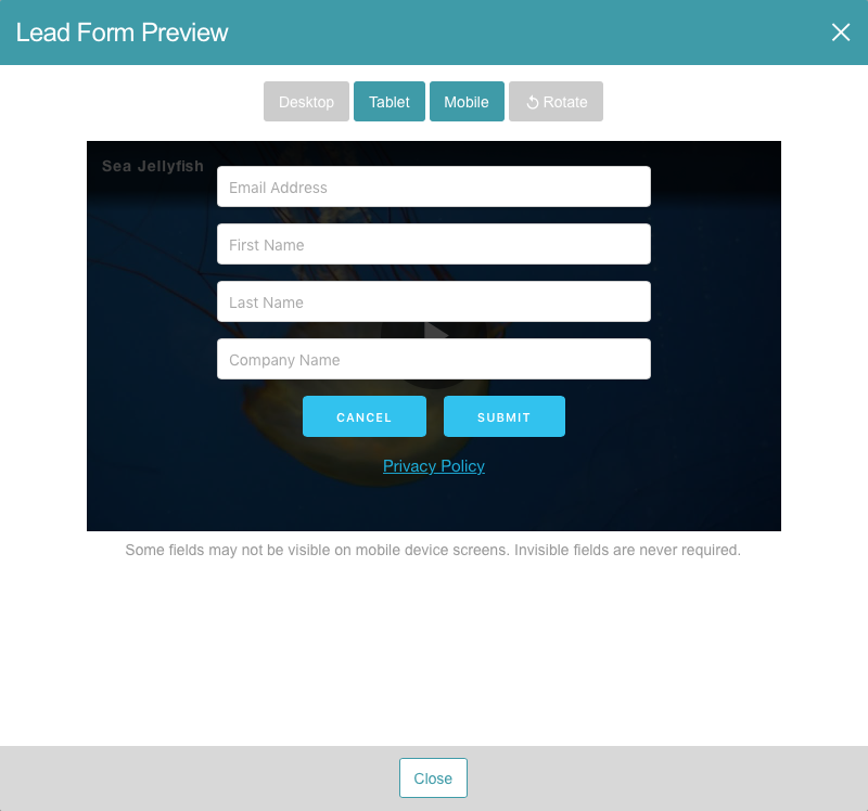 preview lead form